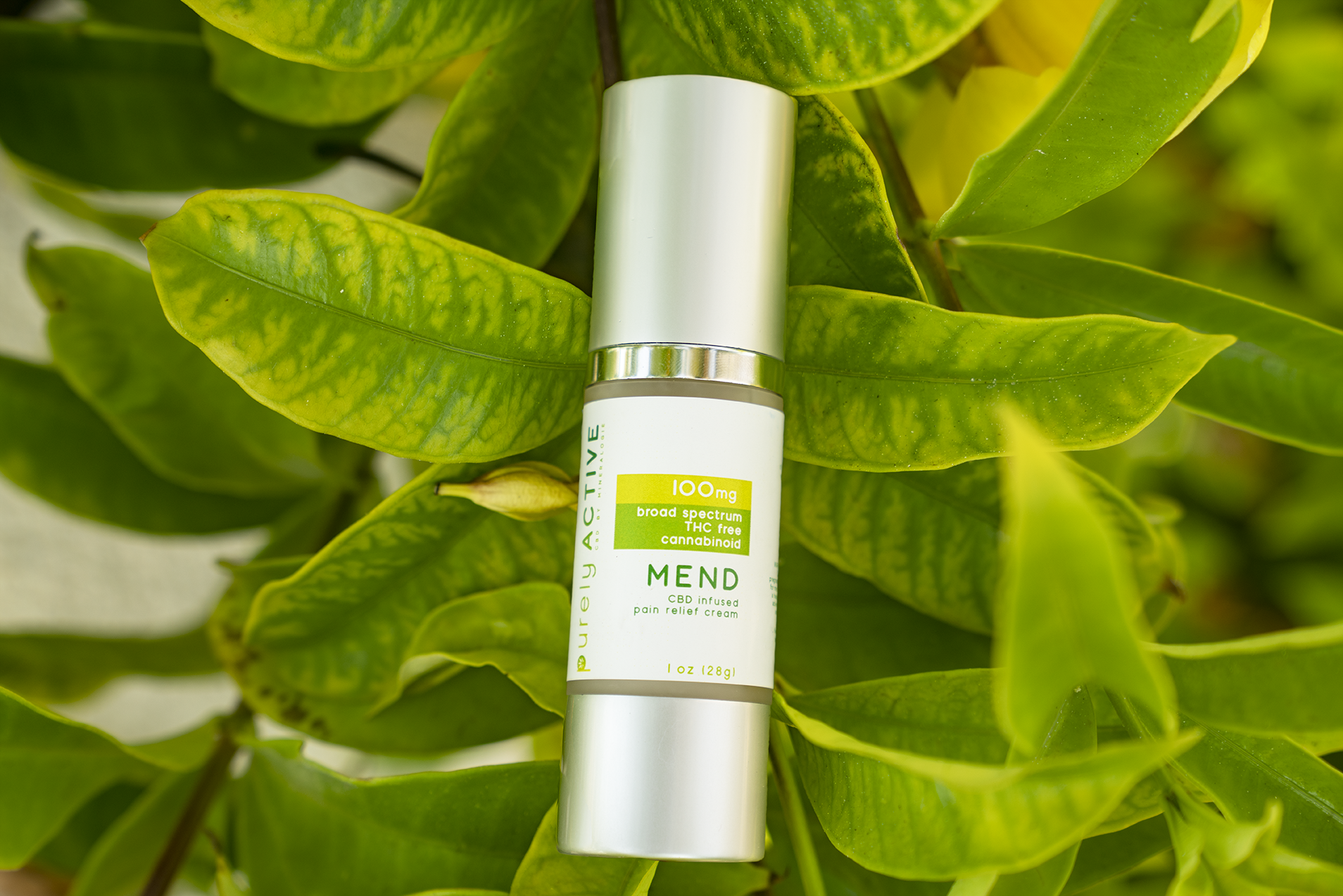 Mend Topical Cream 